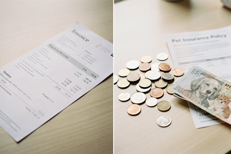 Co-Pay vs Coinsurance