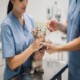 Vaccination